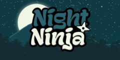 Night Ninja