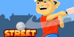 Street Cricket