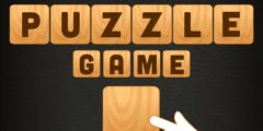 Wooden Puzzle Game